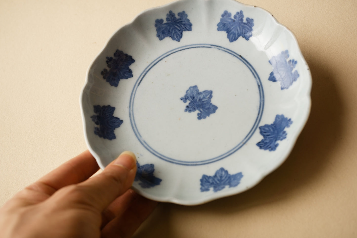 古伊万里コンニャク印判桐文六寸皿